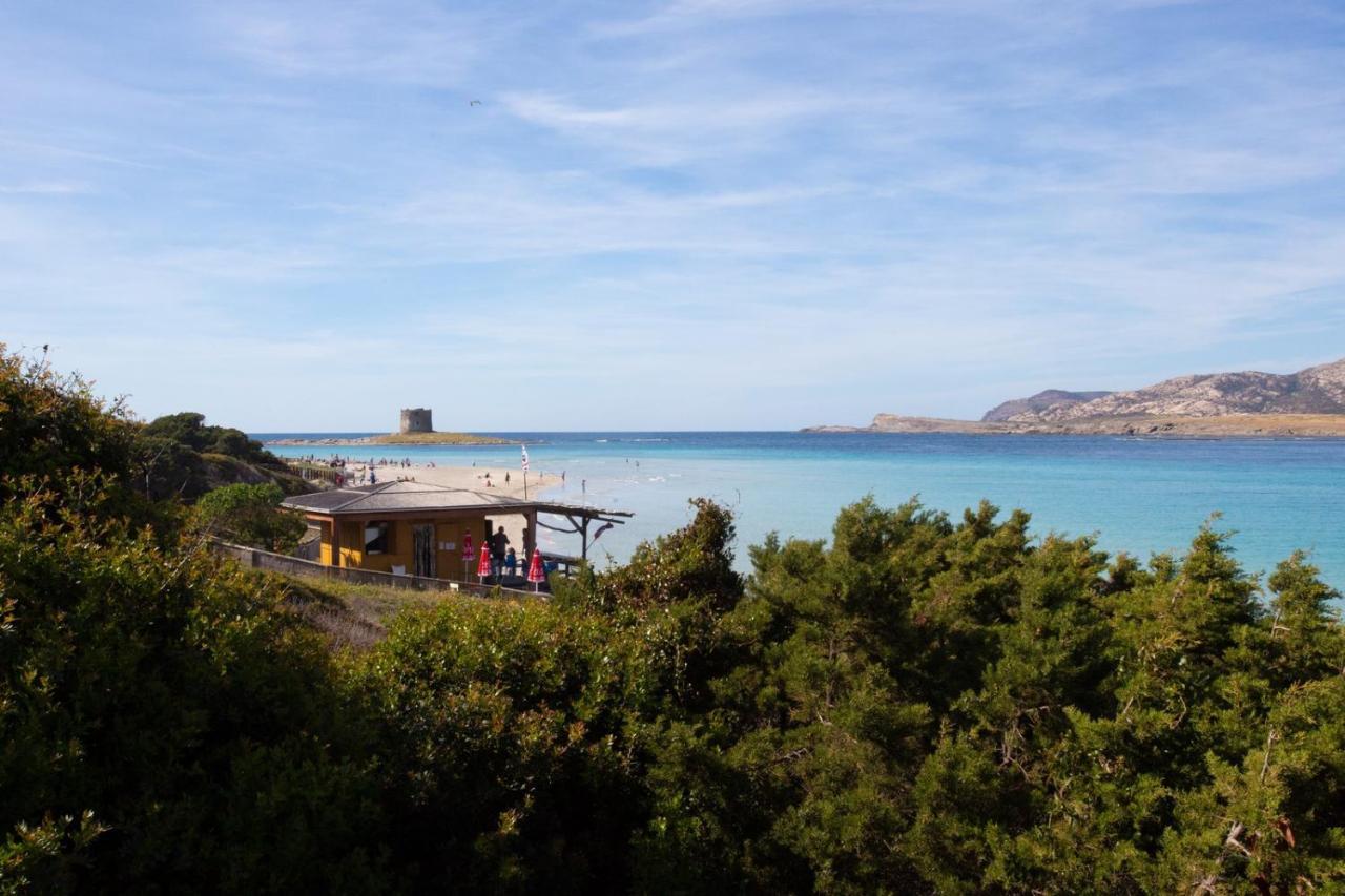 スティンティーノ Panorama Sul Mareヴィラ エクステリア 写真