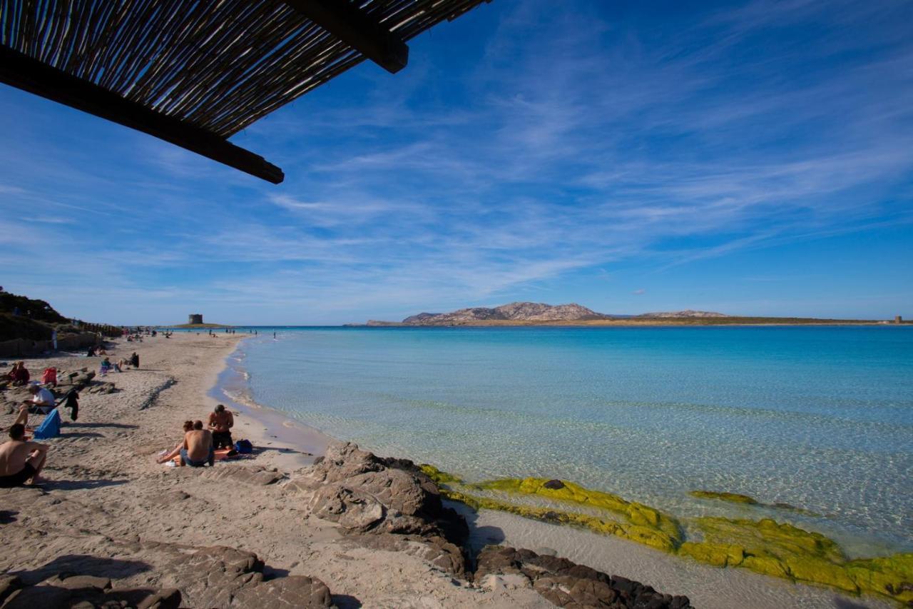 スティンティーノ Panorama Sul Mareヴィラ エクステリア 写真